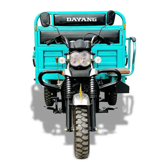 Hot Sale Dayang 175cc Petrol Engine 3 Wheel Cargo Tricycle Powerful Trike for Delivery and Transport Motorcycle