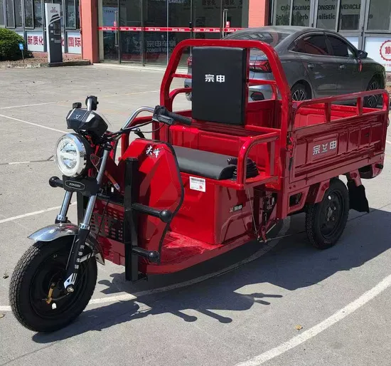 China Factory Direct Sales 2025 New Cheap Gasoline Motor Petrol 3 Wheel Cargo Motorcycle Tricycle for Adult Wholesale Cheapest Price