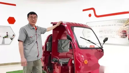 Jinpeng EEC 3 Wheel Trike E Rickshaw Electric Cargo Tricycle Suppliers Electric Auto Rickshaw Motor