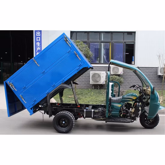 Competitive Price Good Quality 3 Wheel Cargo New Gasoline Tricycles