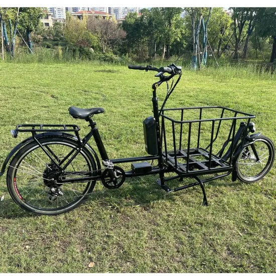 250W Rear Drive Motor Cargo Electric Trike 3 Wheels Fat Tire Beach Cruiser Hot Sale Bike New Energy Electric Tricycle Adults