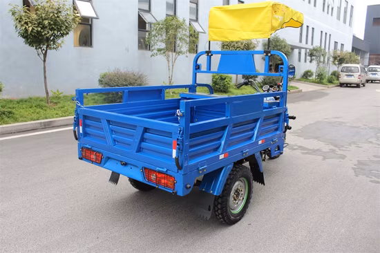 Truck Cargo 3 Wheels Cargo Oil Fuel Motorcycle Tricycles for Tanzania