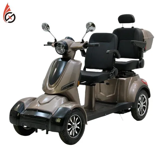 High Quality China Manufacture New Energy Motor Power 60V 800W 1000W Electric Tricycles for Cargo Delivery 