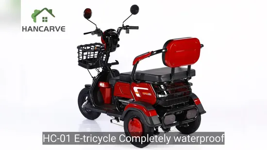 OEM 600W60V Electric Tricycle for Passenger 