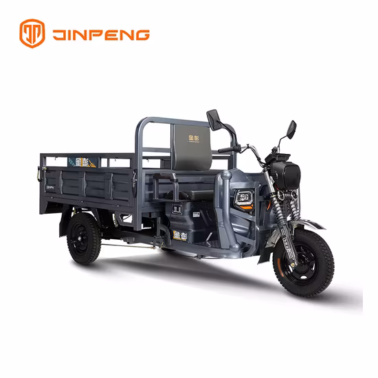 Heavy Load High Quality 3 Wheels Motorcycle Tricycle