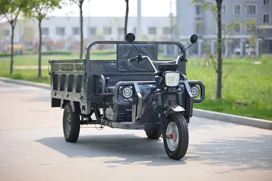Versatile Hj10 Light Electric Cargo Tricycle for Efficient Transport 