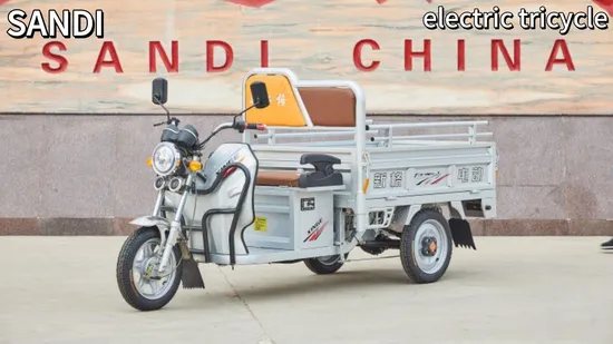 High Quality Electric Tricycle 3 Wheel Cargo for Adult Car Box Frame Power Battery Engine Tricycle 