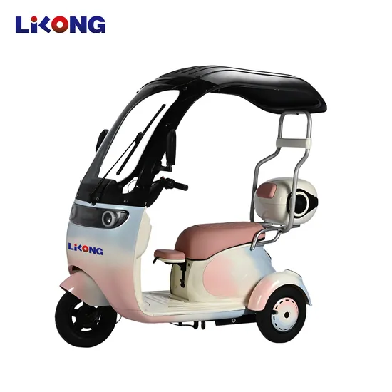 China 600W Cheap Adult Scooter Electric Bike 3 Wheel Tricycle for Passenger 