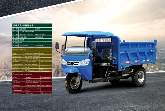Best Seller Bajaj Gasoline Motor Tricycle with Waterproof Cover Agricultural Diesel Engine Cargo Carrier Tricycle Motorcycle 