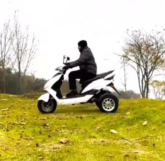 CKD CBU 10inch Small Electric Tricycle 500/650/800W 30km/H Speed Electric Passenger Tricycle Powerful Prices for Adults 