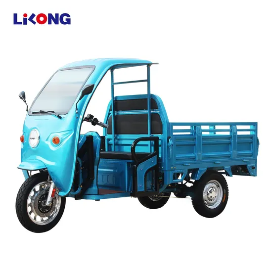 Folding Three Wheeler Motor Tricycle Bike Mobility Scooter with Cabin 