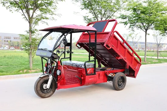 Heavy Duty Electric Cargo Tricycle HP20 