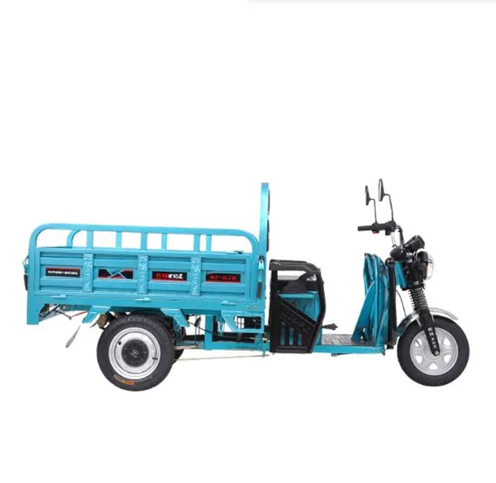 2024 Cargo Box Motorcycle 3 Wheels Engine 200cc Gas Motor Tricycle for Adult 