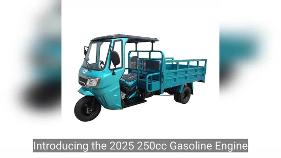 2025 250cc Gasoline Engine Tricycle/Three