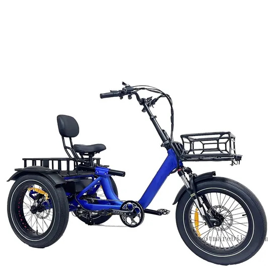 Tricycle Electric Bike Rear Drive 750 W Dual Motor 3 Wheel E Bike Fat Tire Fast Electric Delivery Bike Cargo Electric Tricycle 