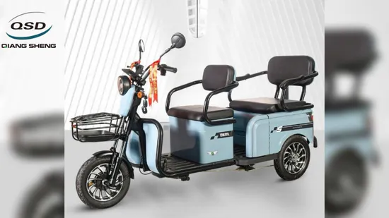 Professional Factory 500W Motor 3 Wheel Electric Cargo Ebike Electric Tricycle