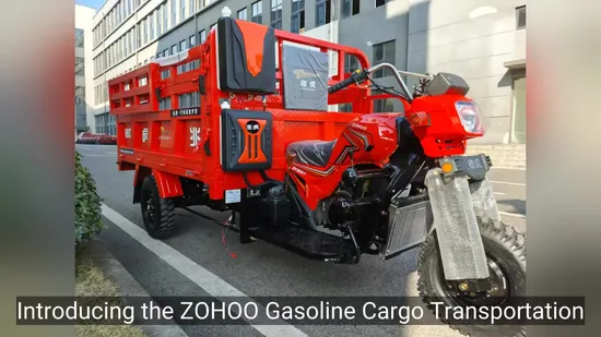 High Quality Middle Shaft Engine Cargo Loading Tricycle Rickshaw Three Wheel Motorcycle Gasoline Motorcycle Accept Customization 