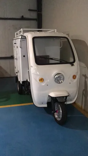 800W 1000W Cargo Electric Tricycle with Closed Rear Box for Express Delivery