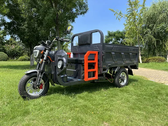 Adult Motorized Cargo Electric Bicycle Three Wheel Electric Scooters Bike Electric Tricycle 
