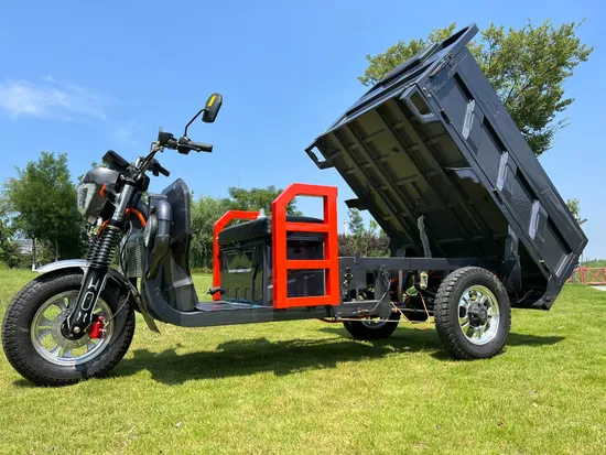 Safety and Popular for Delivery High Quality 60V 1000W Triciclo Electrico Three Wheels Electric Tricycle Cargo Trikes 
