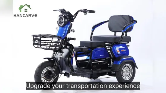 Comfort Ride Double Brake Electric Tricycle with Smart Chip for Passenger 
