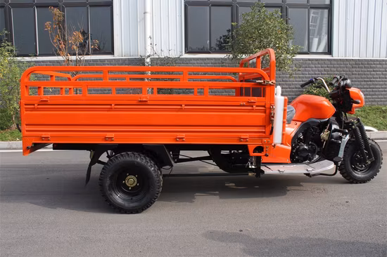 Tricycle Cargo Auto Rickshaw Passenger Rickshaw Ambulance