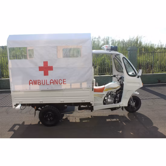 Cargo Loader Passenger Threewheeler Adult Rickshaw for Sale New Electric Ambulance Tricycle