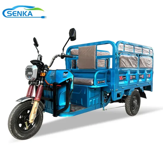 Senka 3 Wheel 1200W Motor Cargo Vehicle Folding Seat Adults Motorcycle Cheap Electric Tricycle for Passenger 