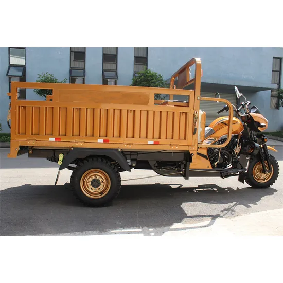 Ideas 2021 200cc Engine Single Cylinder Heavy Loading Motorized Cargo Tricycles Water