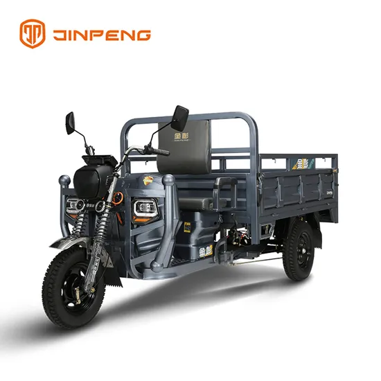 High Quality Heavy Load Wholesale Tricycle Three Wheel Motorcycle Electric Cargo Bike Trike 