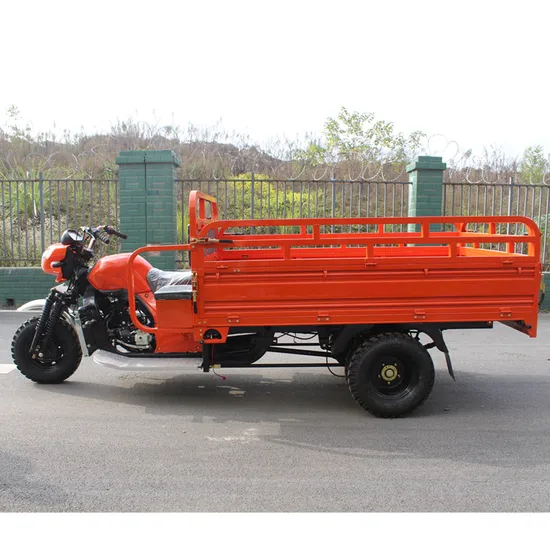 Factory Direct Sales Made in China Cooled Engine Motorized Cargo Food Supply Motorized Motor Passenger Cargo Tricycles Petrol for Iraq 