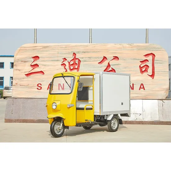 Heavy Load 500kg Express Delivery 3 Wheels Motorcycle Cargo Electric Tricycle 