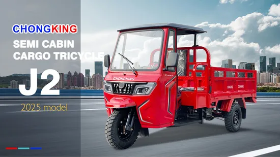 200cc Engine Cargo Tricycle Heavy Loading Motorcycle Hot Sale Made in China Three Wheel Motorcycle 