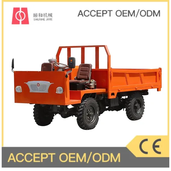 Popular Tricycles with Spare Tire Displacement Engine Three Wheel Motorcycle Tricycle Cargo Motorized Tricycle 