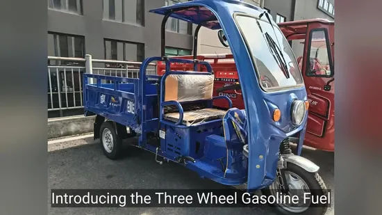 Three Wheel Gasoline Fuel Motorcycle/Cargo Loading Tricycle for Delivery 