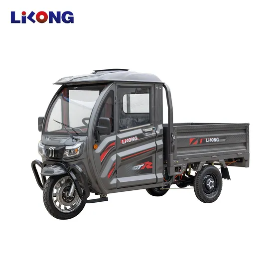 High End 3 Wheel Electric Motorcycle Motor Cargo Tricycle 