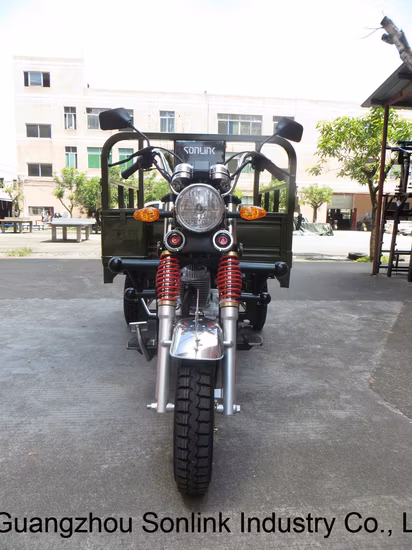 150/200/250cc Air/Water Cooling Engine Cargo Three Wheel Motorcycle Tricycle (SL150