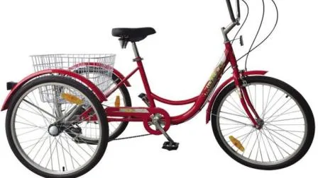 E Bike Motor Kit Flags Foldable Green Gas Hitch Handicap Engine Kit Adult Tricycle with Helmets 