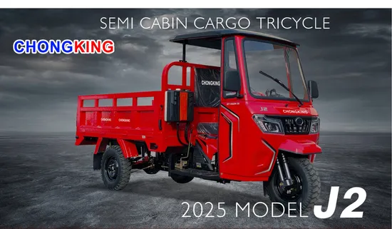 Tricycle Manufacturers Oil Pressure 250cc 300cc Heavy Cargo Capacity Cargo Tricycle 
