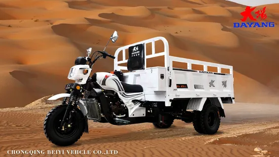 Engineered for Maximum Power Large Capacity Drift Trike for Sale Motor Tricycle 250cc Loncin Engine Tricycle Cargo 