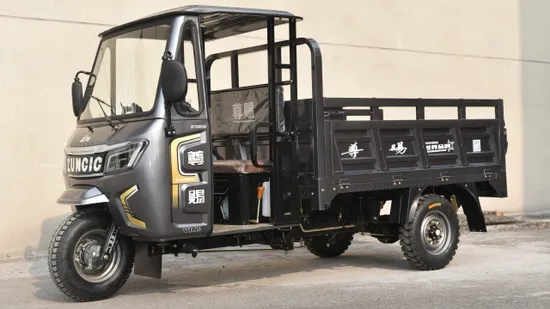 Made in China 200cc Fuel Tricycle. Multi