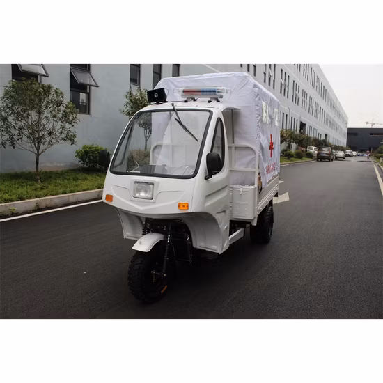 Costom Passenger Petrol Tricycle Ambulance CNG Auto Rickshaw 200cc 3 Wheelers Tricycle for Afghanistan