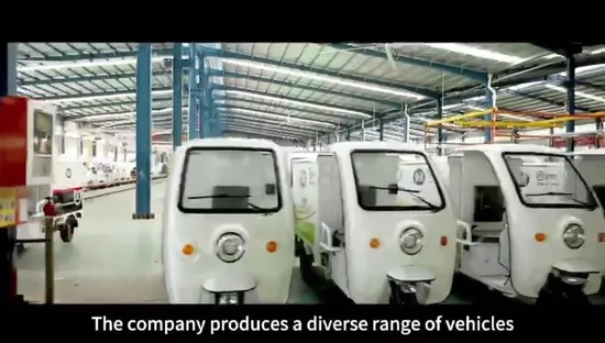 Efficient 48V800W Motor Sustainable Electric Cargo Tricycle for Eco