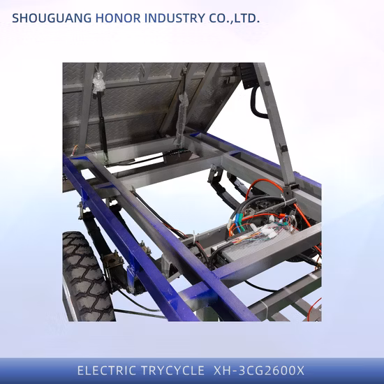 Factory Direct Sales 350W Adult Electric Rear Tricycle with Competitive Price