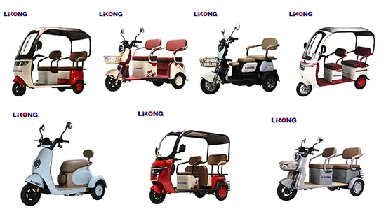 Made in China Electric Scooter Leisure Tricycle New Battery Trike EEC Passenger Tricycle for Elderly 