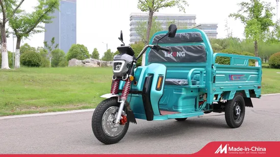 2025 China Factory Cheap Trike Three Wheeler Motorcycle Electric Tricycle for Cargo 