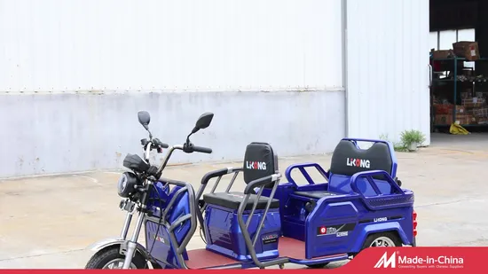 China Discount Multifunctional 3 Wheel Cargo Bike Scooter Electric Tricycle for Adults 