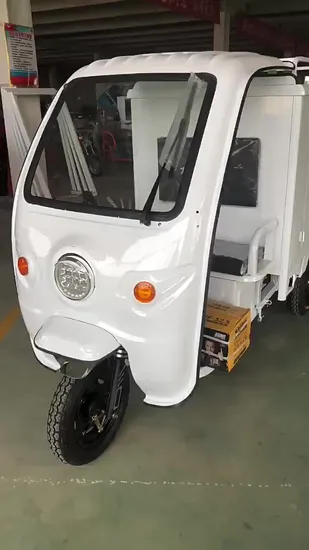 Electric Cargo Tricycles, Rechargeable 3