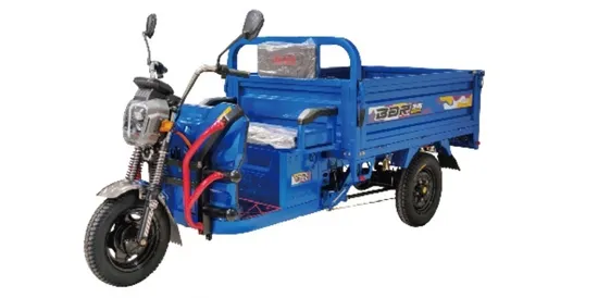 Strong Frame Tank Series Tricycle Good Assistant for Loading Large Motor Powerful Engine Long