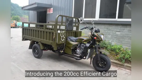 200cc Efficient Cargo Loading Tricycle for Delivery/Gasoline Fuel Three Wheel Motorcycle for Transportation 